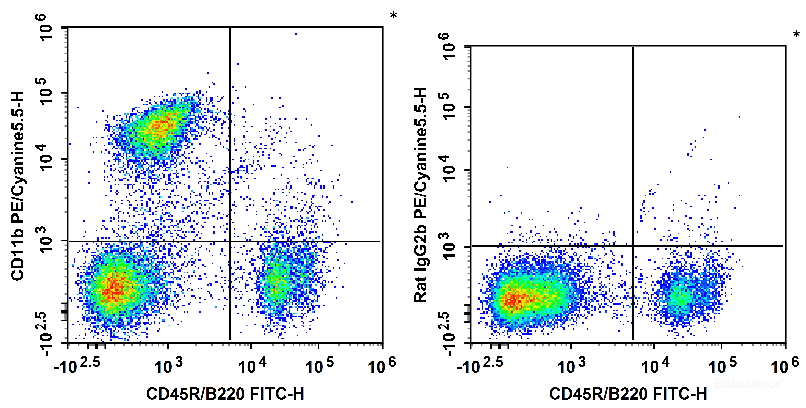 C57BL/6 murine bone marrow cells are stained with FITC Anti-Mouse CD45R/B220 Antibody and PE/Cyanine5.5 Anti-Mouse/Human CD11b Antibody (Left). Bone marrow cells are stained with FITC Anti-Mouse CD45R/B220 Antibody and PE/Cyanine5.5 Rat IgG2b, κ Isotype Control (Right).