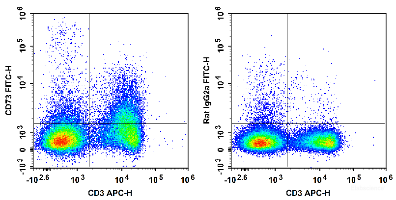 C57BL/6 murine splenocytes are stained with APC Anti-Mouse CD3 Antibody and FITC Anti-Mouse CD73 Antibody (Left). Splenocytes are stained with APC Anti-Mouse CD3 Antibody and FITC Rat IgG2a, κ Isotype Control (Right).