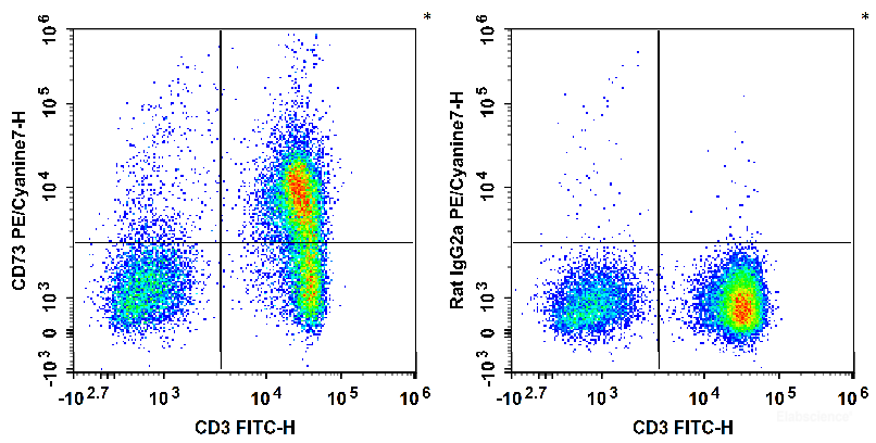 C57BL/6 murine splenocytes are stained with FITC Anti-Mouse CD3 Antibody and PE/Cyanine7 Anti-Mouse CD73 Antibody (Left). Splenocytes are stained with FITC Anti-Mouse CD3 Antibody and PE/Cyanine7 Rat IgG2a, κ Isotype Control (Right).