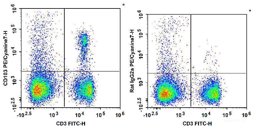 C57BL/6 murine splenocytes are stained with FITC Anti-Mouse CD3 Antibody and PE/Cyanine7 Anti-Mouse CD103 Antibody (Left). Splenocytes are stained with FITC Anti-Mouse CD3 Antibody and PE/Cyanine7 Rat IgG2a, κ Isotype Control (Right).