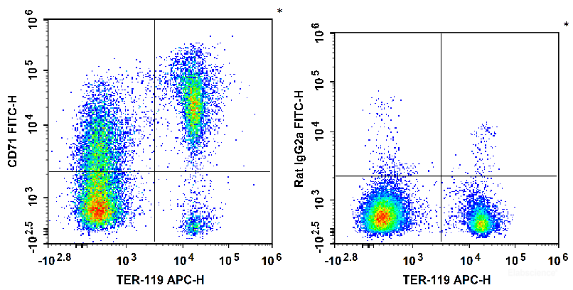 C57BL/6 murine bone marrow cells are stained with APC Anti-Mouse TER-119 Antibody and FITC Anti-Mouse CD71 Antibody (Left). Bone marrow cells are stained with APC Anti-Mouse TER-119 Antibody and FITC Rat IgG2a, κ Isotype Control (Right).