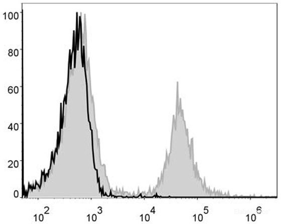 C57BL/6 murine splenocytes are stained with PE Anti-Mouse CD4 Antibody (filled gray histogram). Unstained splenocytes (empty black histogram) are used as control.