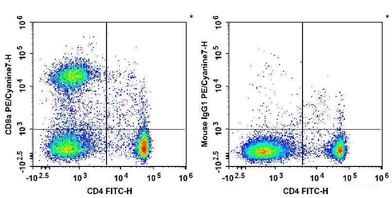 Rat splenocytes are stained with FITC Anti-Rat CD4(domain 1) Antibody and PE/Cyanine7 Anti-Rat CD8a Antibody (Left). Splenocytes are stained with FITC Anti-Rat CD4(domain 1) Antibody and PE/Cyanine7 Mouse IgG1, κ Isotype Control (Right).