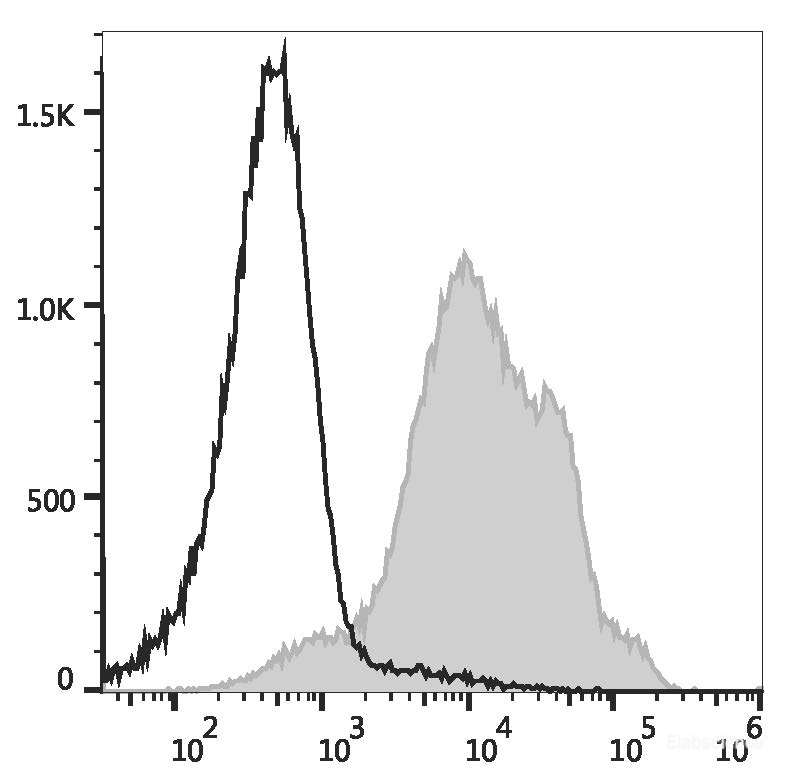 C57BL/6 murine splenocytes are stained with PE/Cyanine5.5 Anti-Human/Mouse CD44 Antibody (filled gray histogram) or PE/Cyanine5.5 Rat IgG2b, κ Isotype Control (empty black histogram) are used as control.