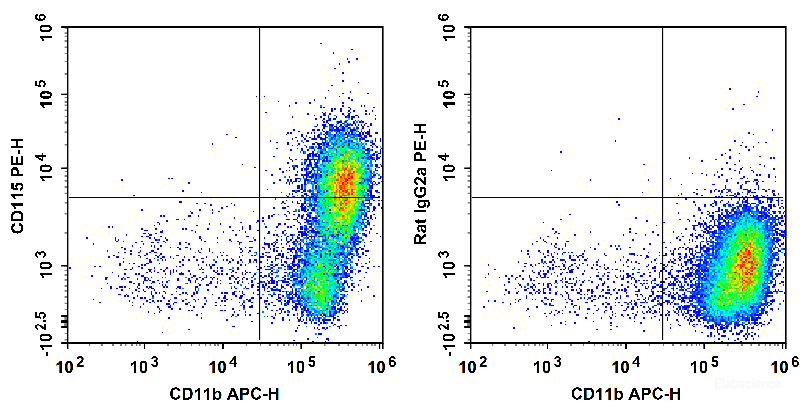 C57BL/6 murine abdominal macrophages are stained with APC Anti-Mouse CD11b Antibody and PE Anti-Mouse CD115 Antibody (Left). Abdominal macrophages are stained with APC Anti-Mouse CD11b Antibody and PE Rat IgG2a, κ Isotype Control (Right).