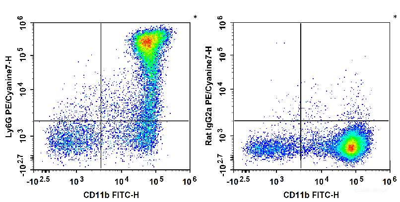 C57BL/6 murine bone marrow cells are stained with FITC Anti-Mouse/Human CD11b Antibody and PE/Cyanine7 Anti-Mouse Ly6G Antibody (Left). Bone marrow cells are stained with FITC Anti-Mouse/Human CD11b Antibody and PE/Cyanine7 Rat IgG2a, κ Isotype Control (Right).