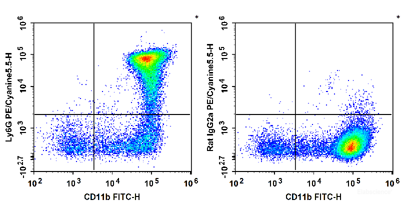 C57BL/6 murine bone marrow cells are stained with FITC Anti-Mouse/Human CD11b Antibody and PE/Cyanine5.5 Anti-Mouse Ly6G Antibody (Left). Bone marrow cells are stained with FITC Anti-Mouse/Human CD11b Antibody and PE/Cyanine5.5 Rat IgG2a, κ Isotype Control (Right).
