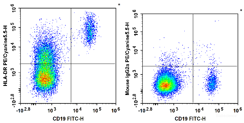 Human peripheral blood lymphocytes are stained with FITC Anti-Human CD19 Antibody and PE/Cyanine5.5 Anti-Human HLA-DR Antibody (Left). Lymphocytes are stained with FITC Anti-Human CD19 Antibody and PE/Cyanine5.5 Mouse IgG2a, κ Isotype Control (Right).