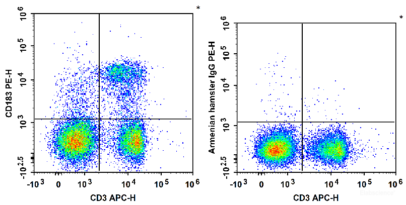C57BL/6 murine splenocytes are stained with APC Anti-Mouse CD3 Antibody and PE Anti-Mouse CD183/CXCR3 Antibody (Left). Splenocytes are stained with APC Anti-Mouse CD3 Antibody and PE Armenian Hamster IgG Isotype Control (Right).