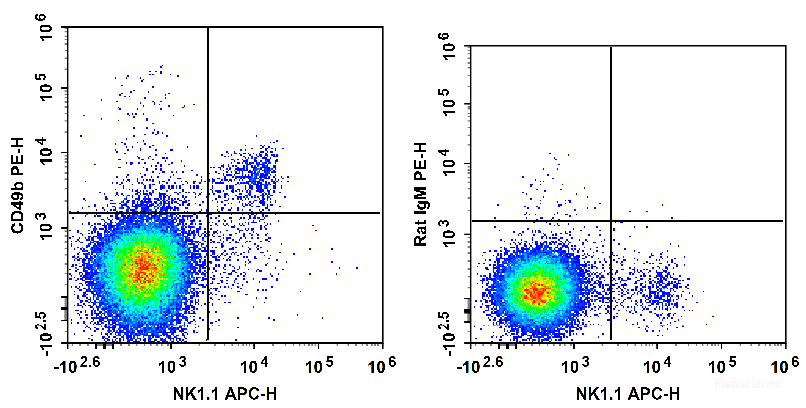 C57BL/6 murine splenocytes are stained with APC Anti-Mouse CD161/NK1.1 Antibody and PE Anti-Mouse CD49b Antibody (Left). Splenocytes are stained with APC Anti-Mouse CD161/NK1.1 Antibody and PE Rat IgM, κ Isotype Control (Right).