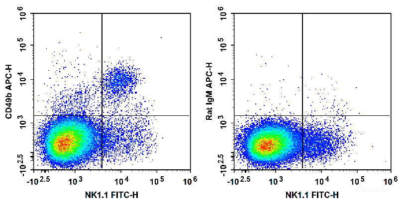 C57BL/6 murine splenocytes are stained with FITC Anti-Mouse CD161/NK1.1 Antibody and APC Anti-Mouse CD49b Antibody (Left). Splenocytes are stained with FITC Anti-Mouse CD161/NK1.1 Antibody and APC Rat IgM, κ Isotype Control (Right).