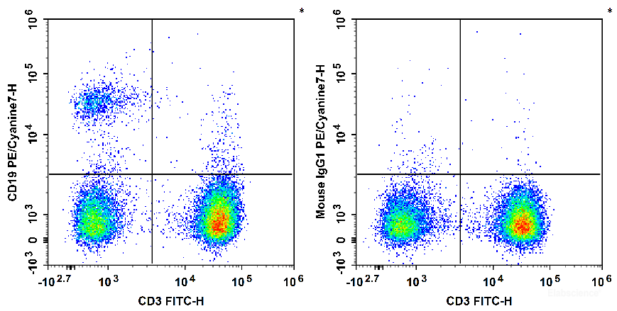Human peripheral blood lymphocytes are stained with FITC Anti-human CD3 Antibody and PE/Cyanine7 Anti-Human CD19 Antibody[4G7] (Left). Lymphocytes are stained with FITC Anti-human CD3 Antibody and PE/Cyanine7 Mouse IgG1, κ Isotype Control (Right).