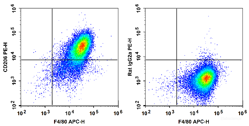 Mouse abdominal macrophages elicited by starch broth are stained with PE Anti-Mouse CD206 Antibody (filled gray histogram) or PE Rat IgG2a, κ Isotype Control (empty black histogram).