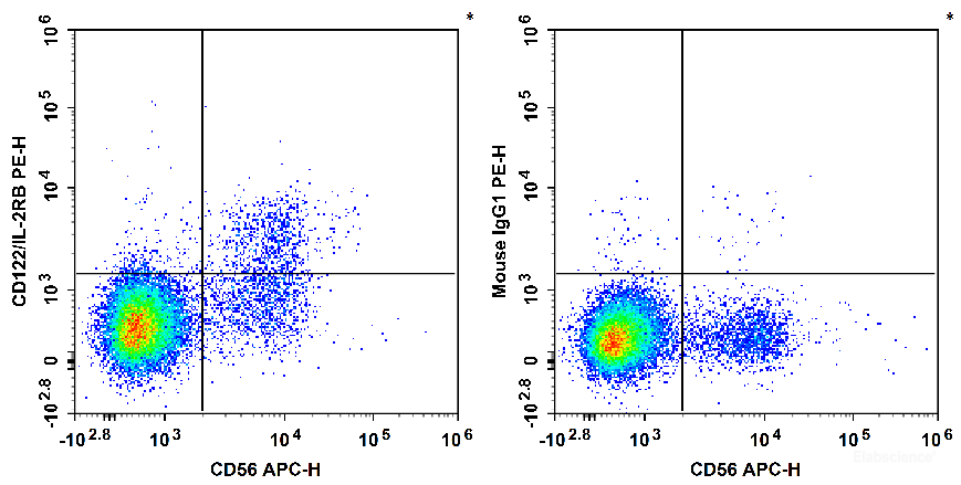 Human peripheral blood lymphocytes are stained with APC Anti-Human CD56 Antibody and PE Anti-Human CD122/IL-2RB Antibody[TU27] (Left). Lymphocytes are stained with APC Anti-Human CD56 Antibody and PE Mouse IgG1, κ Isotype Control (Right).