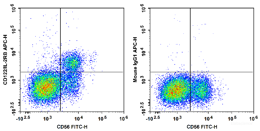 Human peripheral blood lymphocytes are stained with FITC Anti-Human CD56 Antibody and APC Anti-Human CD122/IL-2RB Antibody[TU27] (Left). Lymphocytes are stained with FITC Anti-Human CD56 Antibody and APC Mouse IgG1, κ Isotype Control (Right).