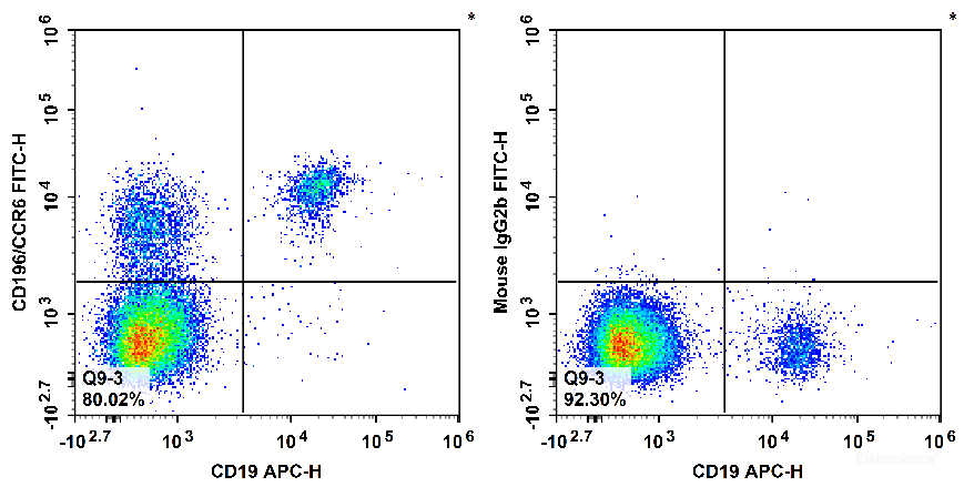 Human peripheral blood lymphocytes are stained with APC Anti-Human CD19 Antibody and FITC Anti-Human CD196/CCR6 Antibody[G034E3] (Left). Lymphocytes are stained with APC Anti-Human CD19 Antibody and FITC Mouse IgG2b, κ Isotype Control (Right).