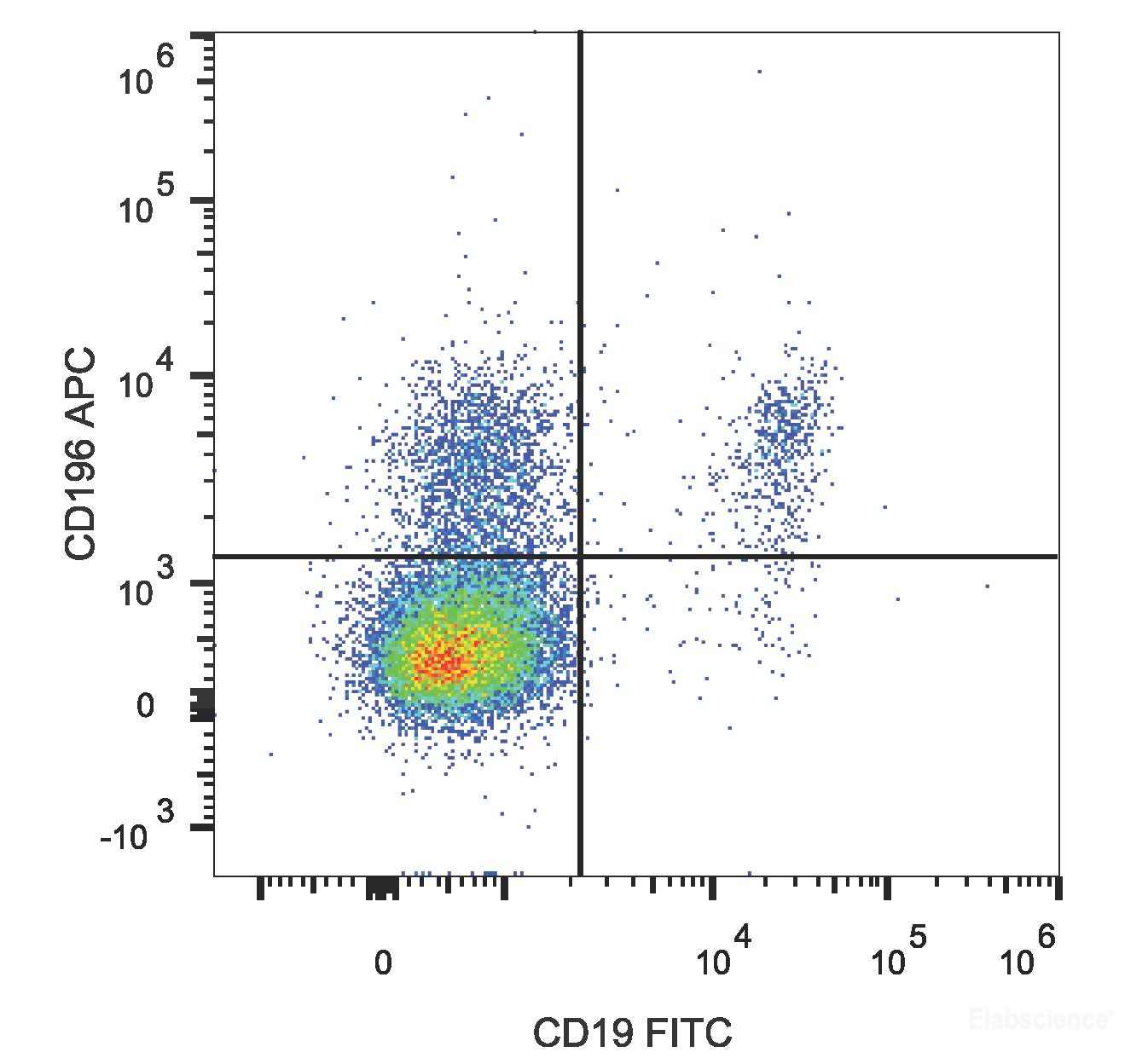 Human peripheral blood lymphocytes are stained with APC Anti-Human CD196/CCR6 Antibody and FITC Anti-Human CD19 Antibody.
