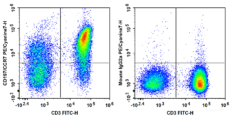 Human peripheral blood lymphocytes are stained with FITC Anti-Human CD3 Antibody and PE/Cyanine7 Anti-Human CD197/CCR7 Antibody (Left). Lymphocytes are stained with FITC Anti-Human CD3 Antibody and PE/Cyanine7 Mouse IgG2a, κ Isotype Control (Right).
