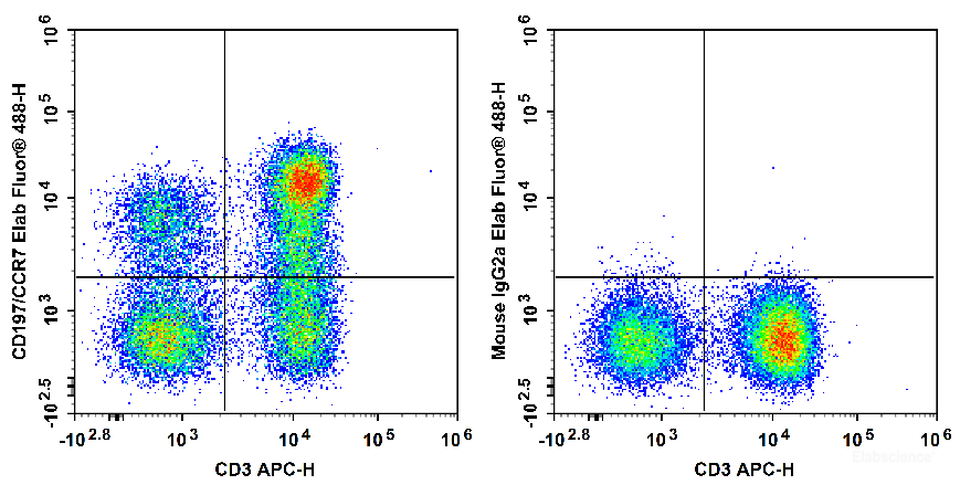 Human peripheral blood lymphocytes are stained with APC Anti-Human CD3 Antibody and Elab Fluor<sup>®</sup> 488 Anti-Human CD197/CCR7 Antibody[G043H7] (Left). Lymphocytes are stained with APC Anti-Human CD3 Antibody and Elab Fluor<sup>®</sup> 488 Mouse IgG2a, κ Isotype Control (Right).
