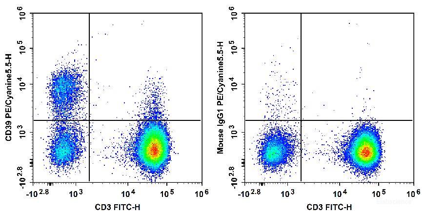 Human peripheral blood lymphocytes are stained with FITC Anti-Human CD3 Antibody and PE/Cyanine5.5 Anti-Human CD39 Antibody[A1] (Left). Lymphocytes are stained with FITC Anti-Human CD3 Antibody and PE/Cyanine5.5 Mouse IgG1, κ Isotype Control (Right).