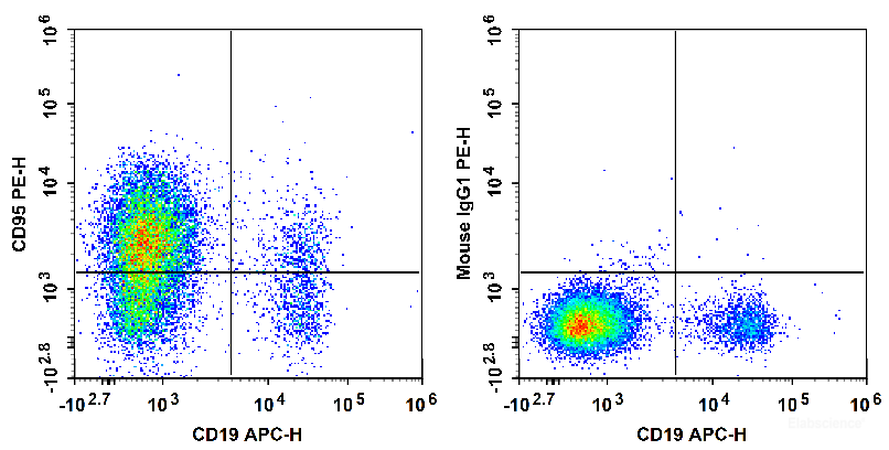 Human peripheral blood lymphocytes are stained with APC Anti-Human CD19 Antibody and PE Anti-Human CD95 Antibody (Left). Lymphocytes are stained with APC Anti-Human CD19 Antibody and PE Mouse IgG1, κ Isotype Control (Right).