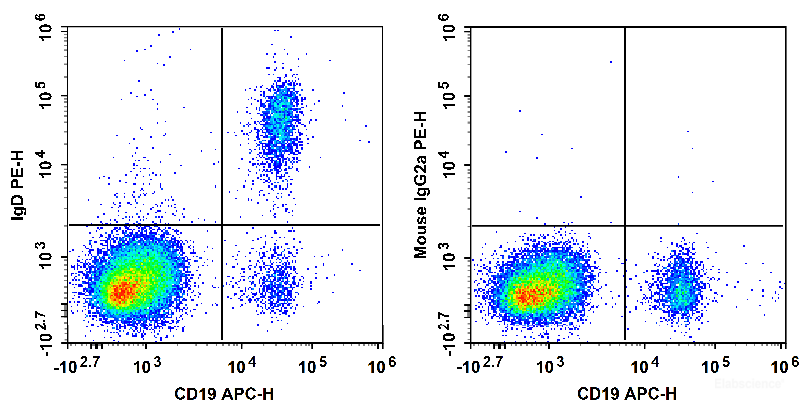Human peripheral blood lymphocytes are stained with APC Anti-Human CD19 Antibody and PE Anti-Human IgD Antibody (Left). Lymphocytes are stained with APC Anti-Human CD19 Antibody and PE Mouse IgG2a, κ Isotype Control (Right).