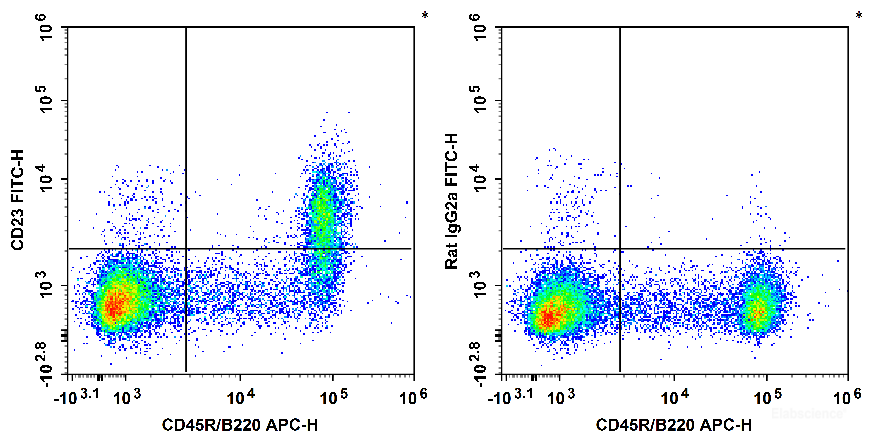 C57BL/6 murine splenocytes are stained with APC Anti-Mouse CD45R/B220 Antibody and FITC Anti-Mouse CD23 Antibody[B3B4] (Left). Splenocytes are stained with APC Anti-Mouse CD45R/B220 Antibody and FITC Rat IgG2a, κ Isotype Control[2A3] (Right).