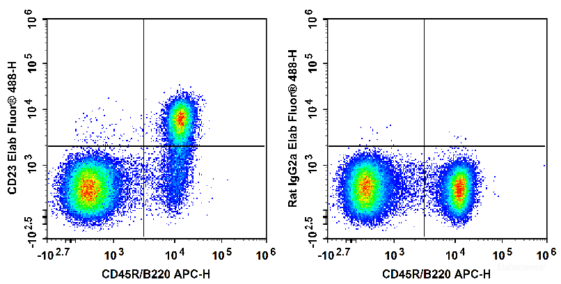 C57BL/6 murine splenocytes are stained with APC Anti-Mouse CD45R/B220 Antibody and Elab Fluor<sup>®</sup> 488 Anti-Mouse CD23 Antibody (Left). Splenocytes are stained with APC Anti-Mouse CD45R/B220 Antibody and Elab Fluor<sup>®</sup> 488 Rat IgG2a, κ Isotype Control (Right).