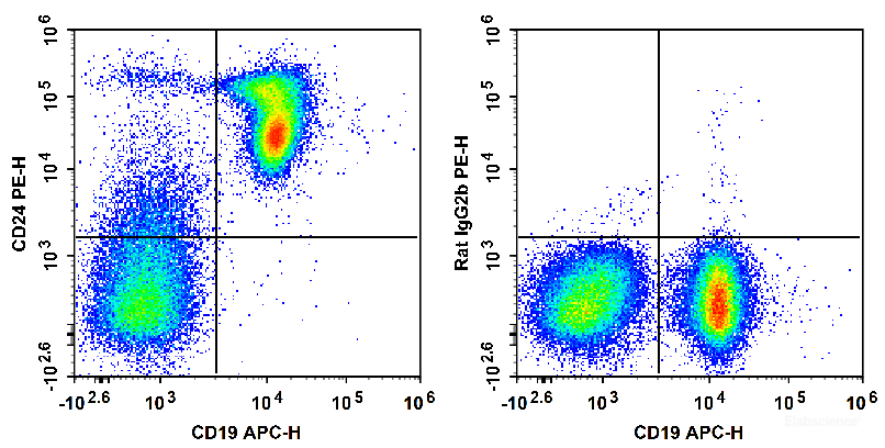 C57BL/6 murine splenocytes are stained with APC Anti-Mouse CD19 Antibody and PE Anti-Mouse CD24 Antibody (Left). Splenocytes are stained with APC Anti-Mouse CD19 Antibody and PE Rat IgG2b, κ Isotype Control (Right).