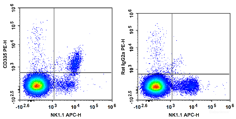 C57BL/6 murine splenocytes are stained with APC Anti-Mouse NK1.1 Antibody and PE Anti-Mouse CD335 Antibody (Left). Splenocytes are stained with APC Anti-Mouse NK1.1 Antibody and PE Rat IgG2a, κ Isotype Control (Right).
