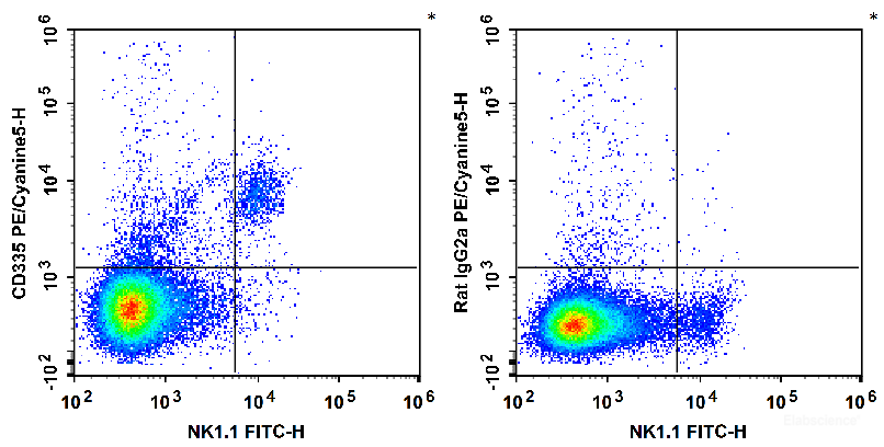 C57BL/6 murine splenocytes are stained with FITC Anti-Mouse NK1.1 Antibody and PE/Cyanine5 Anti-Mouse CD335 Antibody (Left). Splenocytes are stained with FITC Anti-Mouse NK1.1 Antibody and PE/Cyanine5 Rat IgG2a, κ Isotype Control (Right).