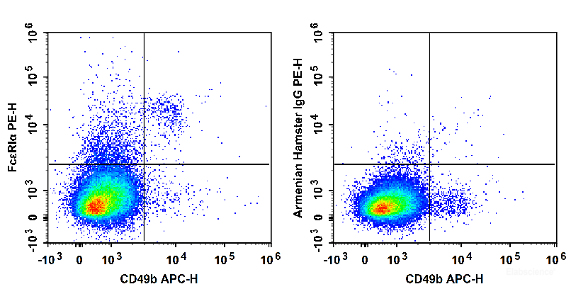 C57BL/6 murine bone marrow cells are stained with APC Anti-Mouse CD49b Antibody and PE Anti-Mouse FcεRIα Antibody (Left). Bone marrow cells stained with APC Anti-Mouse CD49b Antibody and PE Armenian Hamster IgG Isotype Control (Right) are used as control.