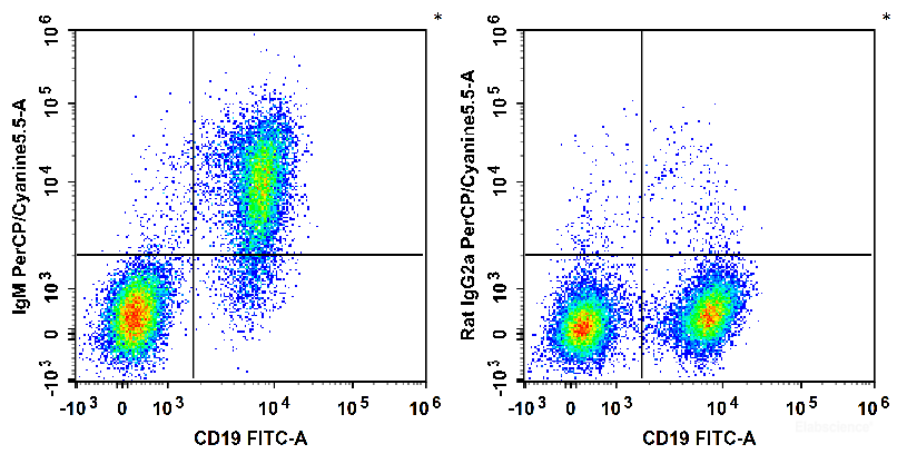 C57BL/6 murine splenocytes are stained with FITC Anti-Mouse CD19 Antibody and PerCP/Cyanine5.5 Anti-Mouse IgM Antibody (Left). Splenocytes are stained with FITC Anti-Mouse CD19 Antibody and PerCP/Cy5.5 Rat IgG2a, κ Isotype Control (Right).