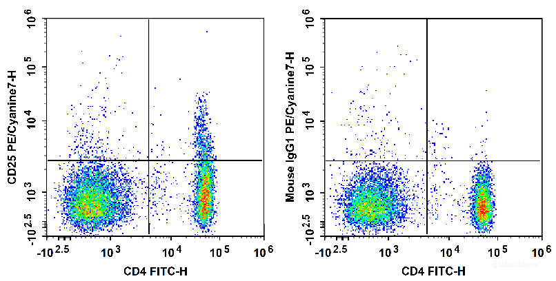 Human peripheral blood lymphocytes are stained with FITC Anti-Human CD4 Antibody and PE/Cyanine7 Anti-Human CD25 Antibody (Left). Lymphocytes are stained with FITC Anti-Human CD4 Antibody and PE/Cyanine7 Mouse IgG1, κ Isotype Control (Right).