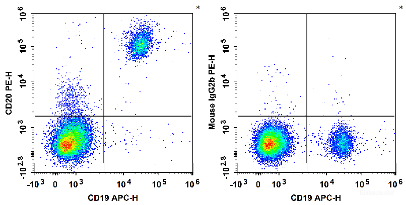 Human peripheral blood lymphocytes are stained with APC Anti-Human CD19 Antibody and PE Anti-Human CD20 Antibody (Left). Lymphocytes are stained with APC Anti-Human CD19 Antibody and PE Mouse IgG2b, κ Isotype Control (Right).