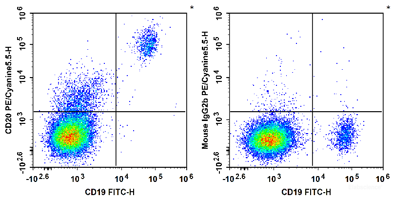 Human peripheral blood lymphocytes are stained with FITC Anti-Human CD19 Antibody and PE/Cyanine5.5 Anti-Human CD20 Antibody (Left). Lymphocytes are stained with FITC Anti-Human CD19 Antibody and PE/Cyanine5.5 Mouse IgG2b, κ Isotype Control (Right).