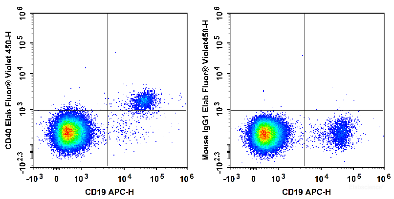 Human peripheral blood lymphocytes are stained with APC Anti-Human CD19 Antibody and Elab Fluor<sup>®</sup> Violet 450 Anti-Human CD40 Antibody (Left). Lymphocytes are stained with APC Anti-Human CD19 Antibody and Elab Fluor<sup>®</sup> Violet 450 Mouse IgG1, κ Isotype Control (Right).