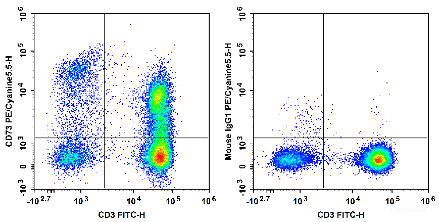 Human peripheral blood lymphocytes are stained with FITC Anti-Human CD3 Antibody and PE/Cyanine5.5 Anti-Human CD73 Antibody[AD2] (Left). Lymphocytes are stained with FITC Anti-Human CD3 Antibody and PE/Cyanine5.5 Mouse IgG1, κ Isotype Control (Right).