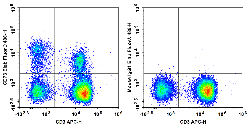 Human peripheral blood lymphocytes are stained with APC Anti-Human CD3 Antibody and Elab Fluor<sup>®</sup> 488 Anti-Human CD73 Antibody[AD2] (Left). Lymphocytes are stained with APC Anti-Human CD3 Antibody and Elab Fluor<sup>®</sup> 488 Mouse IgG1, κ Isotype Control (Right).