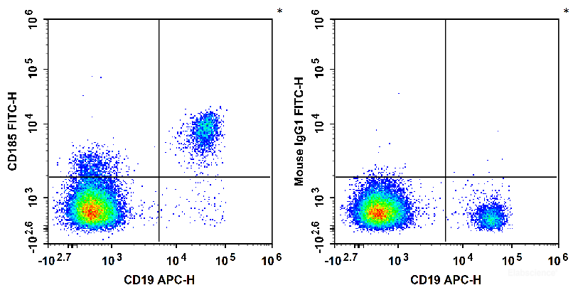 Human peripheral blood lymphocytes are stained with APC Anti-Human CD19 Antibody and FITC Anti-Human CD185/CXCR5 Antibody (Left). Lymphocytes are stained with APC Anti-Human CD19 Antibody and FITC Mouse IgG1,κ Isotype Control (Right).