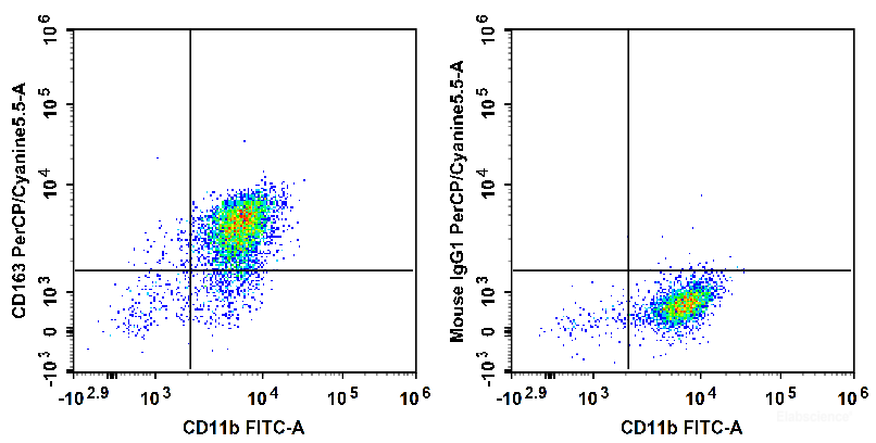Human peripheral blood are stained with FITC Anti-Human CD11b Antibody and PerCP/Cyanine5.5 Anti-Human CD163 Antibody (Left). Cells in the monocyte gate were used for analysis. Cells are stained with FITC Anti-Human CD11b Antibody and PerCP/Cyanine5.5 Mouse IgG1,κ Isotype Control (Right).