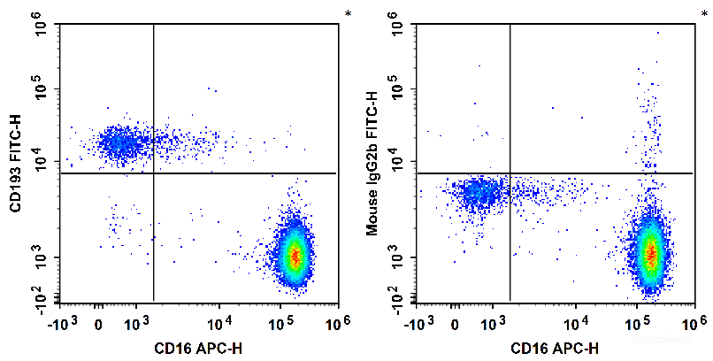 Human peripheral blood granulocytes are stained with APC Anti-Human CD16 Antibody and FITC Anti-Human CD193/CCR3 Antibody (Left). Granulocytes are stained with APC Anti-Human CD16 Antibody and FITC Mouse IgG2b,κ Isotype Control (Right).