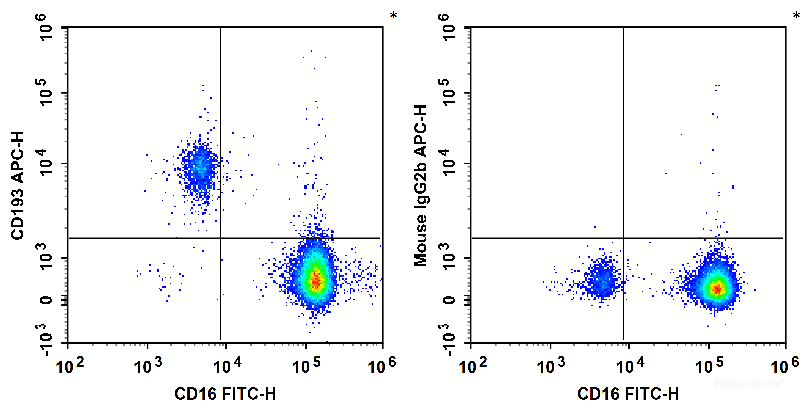 Human peripheral blood granulocytes are stained with FITC Anti-Human CD16 Antibody and APC Anti-Human CD193/CCR3 Antibody (Left). Granulocytes are stained with FITC Anti-Human CD16 Antibody and APC Mouse IgG2b,κ Isotype Control (Right).