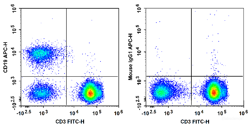 Human peripheral blood lymphocytes are stained with FITC Anti-Human CD3 Antibody and APC Anti-Human CD19 Antibody (Left). Lymphocytes are stained with FITC Anti-Human CD3 Antibody and APC Mouse IgG1, κ Isotype Control (Right).