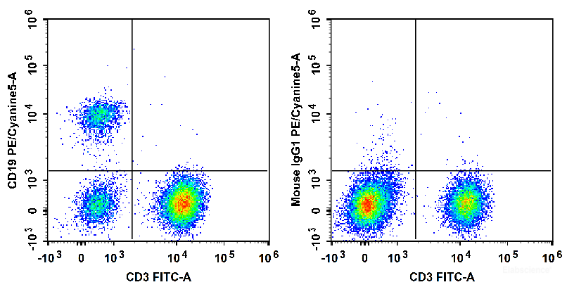 Human peripheral blood lymphocytes are stained with FITC Anti-Human CD3 Antibody and PE/Cyanine5 Anti-Human CD19 Antibody (Left). Lymphocytes are stained with FITC Anti-Human CD3 Antibody and PE/Cyanine5 Mouse IgG1, κ Isotype Control (Right).