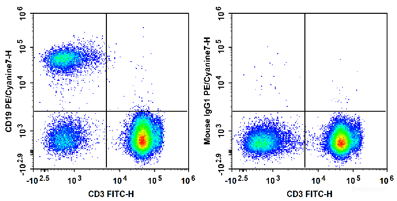 Human peripheral blood lymphocytes are stained with FITC Anti-Human CD3 Antibody and PE/Cyanine7 Anti-Human CD19 Antibody (Left). Lymphocytes are stained with FITC Anti-Human CD3 Antibody and PE/Cyanine7 Mouse IgG1, κ Isotype Control (Right).