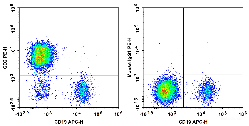 Human peripheral blood lymphocytes are stained with APC Anti-Human CD19 Antibody and PE Anti-Human CD2 Antibody[HIT11] (Left). Lymphocytes are stained with APC Anti-Human CD19 Antibody and PE Mouse IgG1, κ Isotype Control (Right).