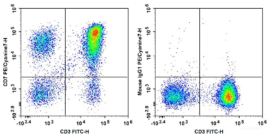 Human peripheral blood lymphocytes are stained with FITC Anti-Human CD3 Antibody and PE/Cyanine7 Anti-Human CD7 Antibody[HIT7] (Left). Lymphocytes are stained with FITC Anti-Human CD3 Antibody and PE/Cyanine7 Mouse IgG1, κ Isotype Control (Right).