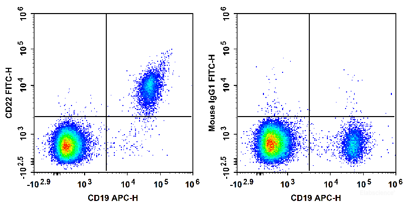 Human peripheral blood lymphocytes are stained with APC Anti-Human CD19 Antibody and FITC Anti-Human CD22 Antibody (Left). Lymphocytes are stained with APC Anti-Human CD19 Antibody and FITC Mouse IgG1, κ Isotype Control (Right).