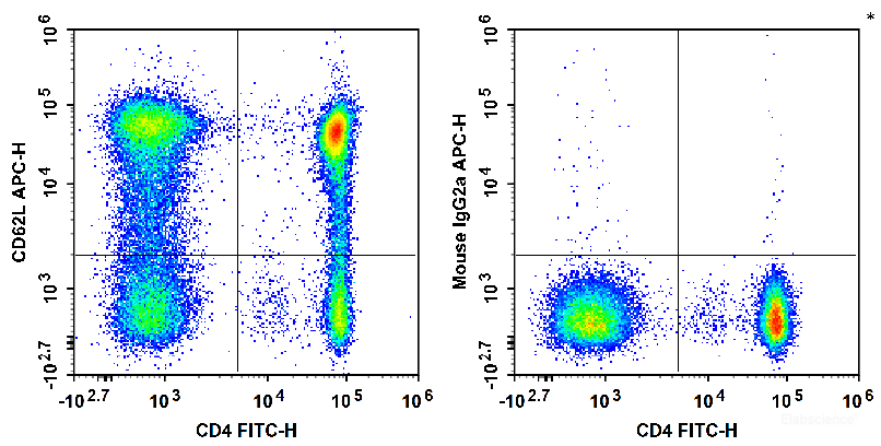 Human peripheral blood lymphocytes are stained with FITC Anti-Human CD4 Antibody and APC Anti-Human CD62L Antibody[HI62L] (Left). Lymphocytes are stained with FITC Anti-Human CD4 Antibody and APC Mouse IgG2a, κ Isotype Control (Right).